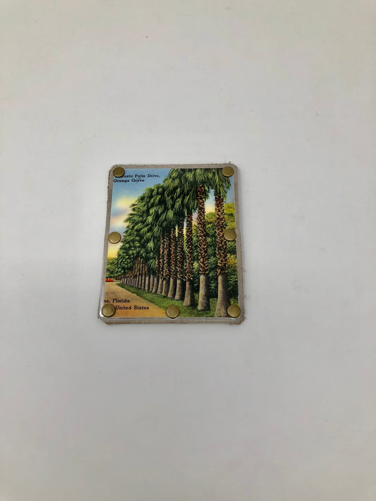 Vintage Graphics Card Wallet - Orange Grove in Florida