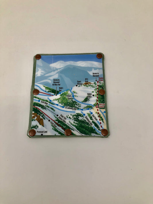 Let it Snow!!! Alpine Meadows Card Wallet Art's Knob