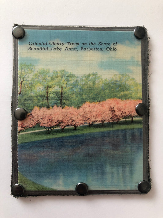 Vintage Graphics Card Wallet - Cherry Trees on Lake Anna in Ohio